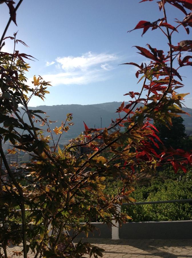 Douro Vally Inn Peso da Régua Kültér fotó